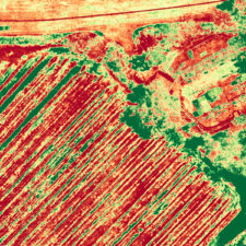 NDVI Analysis